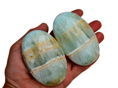 Two extra large caribbean calcite palm stones 90mm on hand with white background