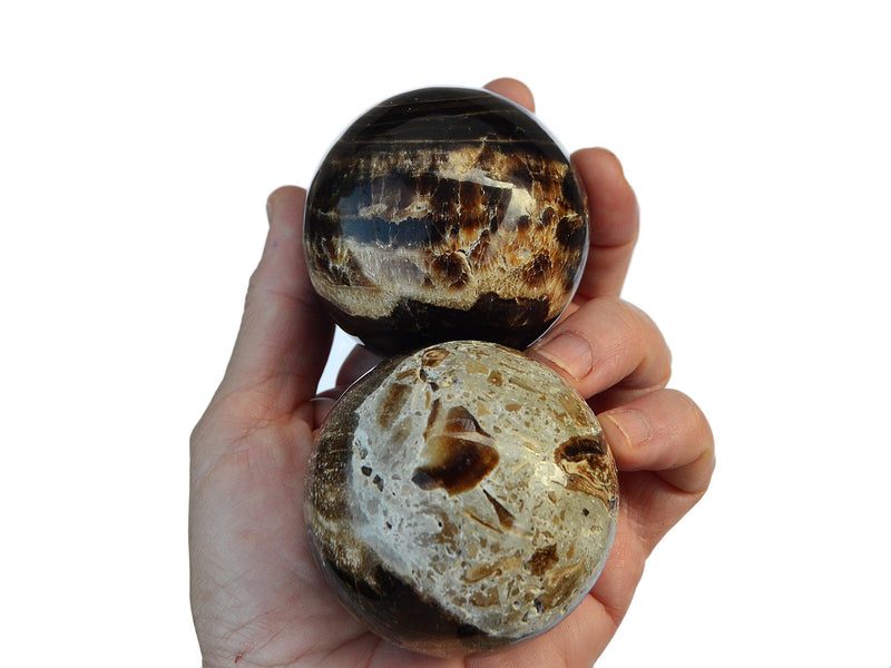Two chocolate calcite sphere crystals 50mm-60mm on hand with white background