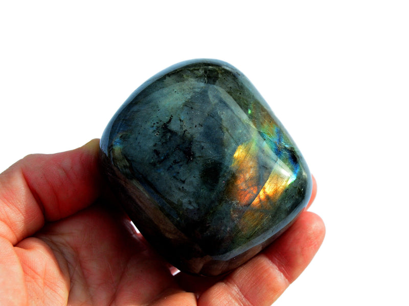 One big flashy labradorite crystal tumbled on hand with white background