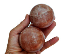 Two rose calcite sphere stones 55mm-60mm on hand with white background