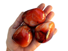 Three chunky carnelian tumbled minerals on hand with white background