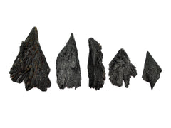 Five witch's broom raw crystals 30mm-100mm on white background