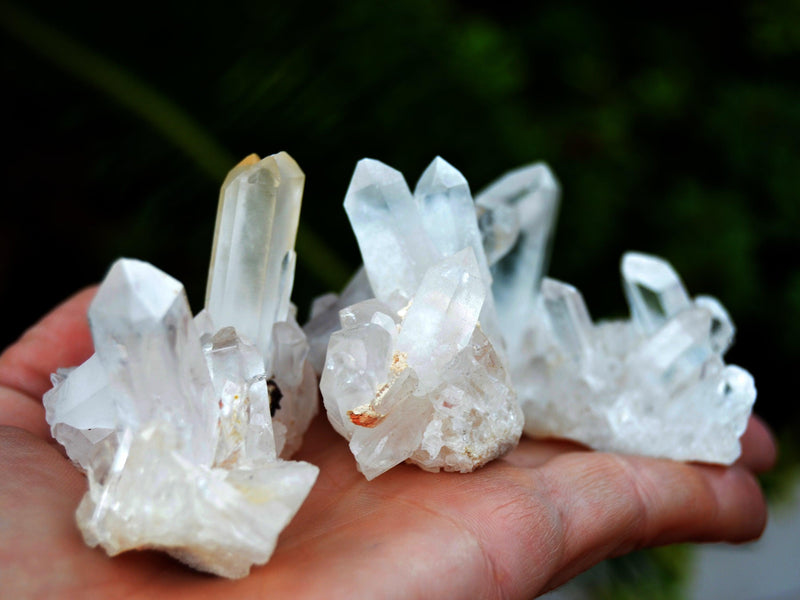 Three small raw crystal cluster on hand with background with green plants