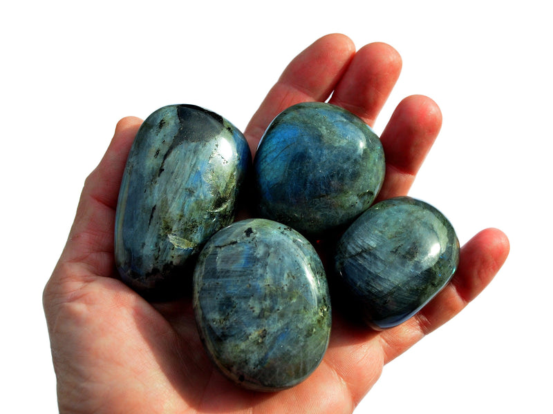 Four large blue labradorite tumbled stones on hand with white background