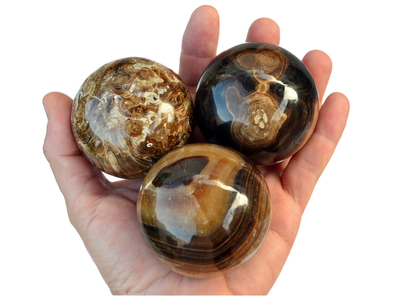 Three chocolate calcite spheres 50mm-60mm on hand with white background