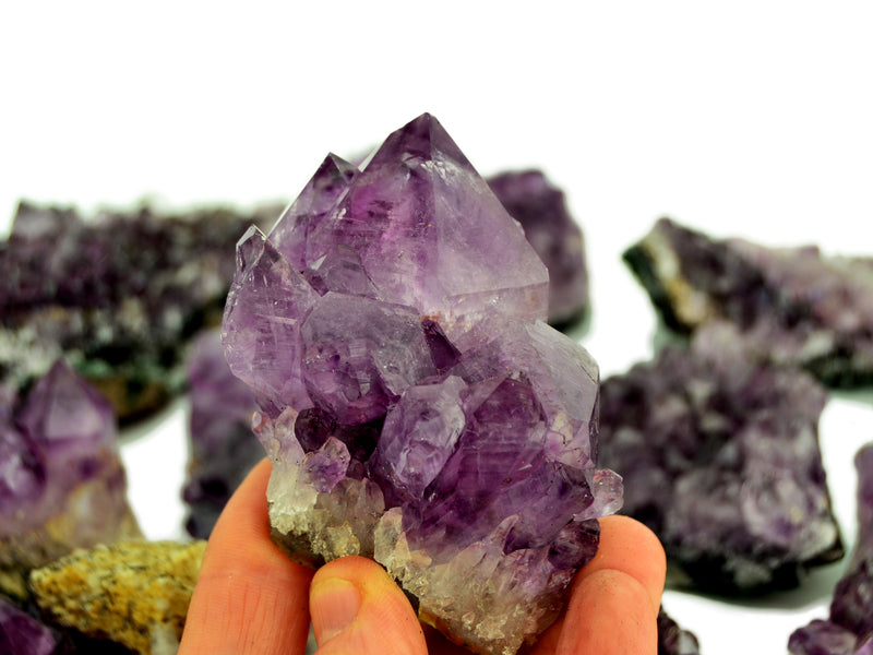 Brazilian amethyst druzy on hand with background with some crystals on white
