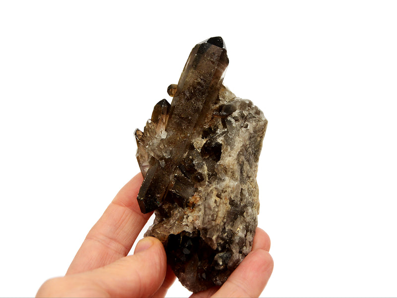 Large smoky quartz crystal cluster on hand with white background