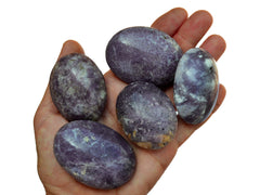 Five purple lepidolite palm stones 45mm-60mm on hand with white background