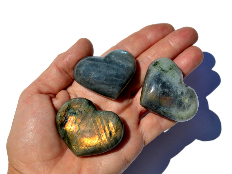 Thee labradorite hearts on hand with white background