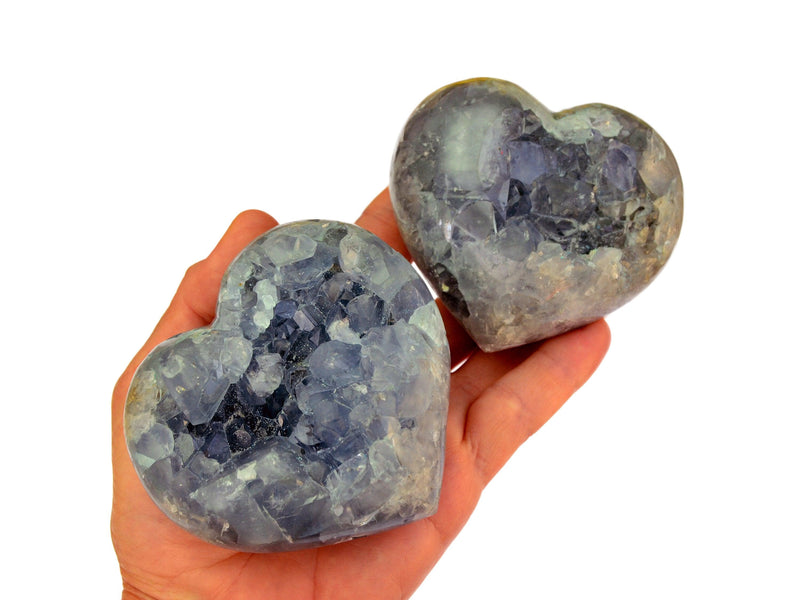 Two large celestite druzy heart crystals on hand with white background