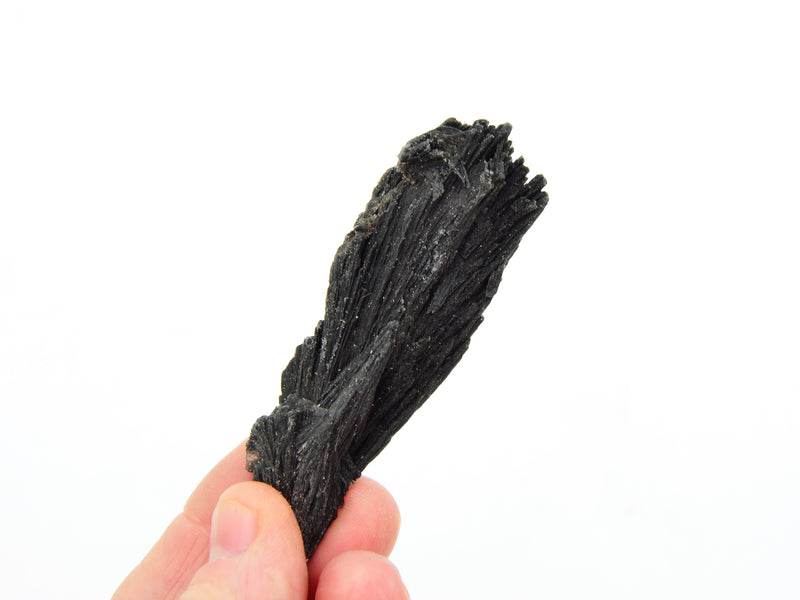 One rough black kyanite 85mm on hand with white background