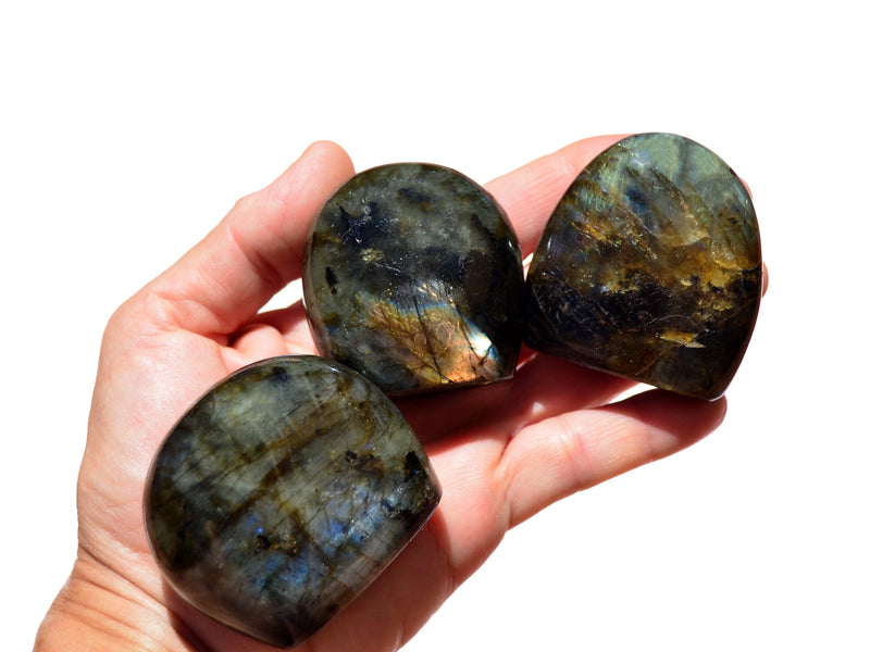 Wholesale Lot of Labradorite Free Form (4-6 Pcs) 1 Kg - Kaia & Crystals