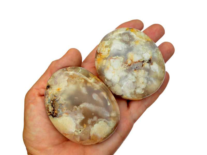 Two large sakura agate palm stones on hand wth white background