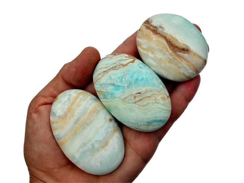Three caribbean calcite palm stones 60mm-65mm on hand with white background