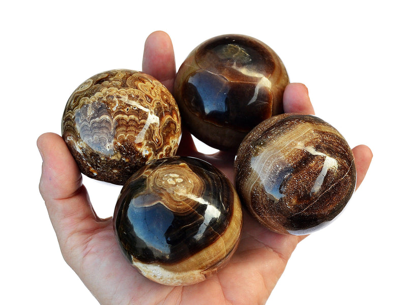 Four  chocolate calcite crystals spheres 50mm-60mm on hand with white background