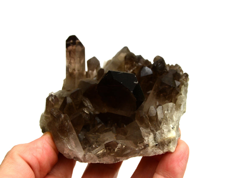Natural druzy smoked quartz crystal on hand with white background