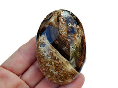 Palm Stone de Calcita Chocolate (45mm - 75mm)