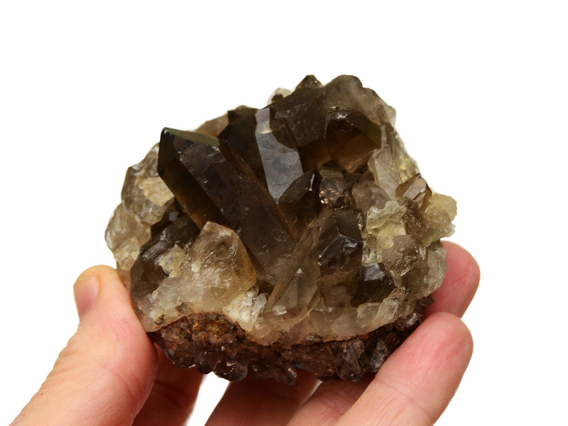 Smoky quartz druzy  on hand with white background