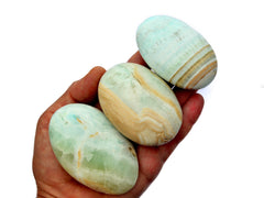 Three caribbean calcite palm stones 70mm-80mm on hand with white background