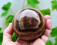 One chocolate calcite sphere stone 75mm on hand with background with green plants