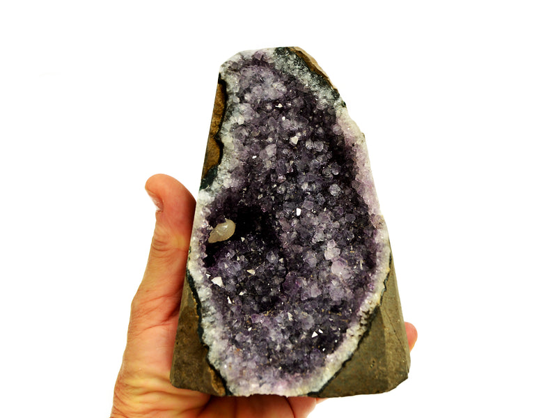 Natural druzy amethyst cut base 128mm on hand with white background