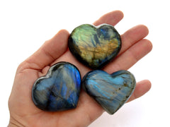 Three labradorite hearts 50mm on hand with white background