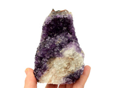 One large purple druzy amethyst cut base 115mm on hand with white background