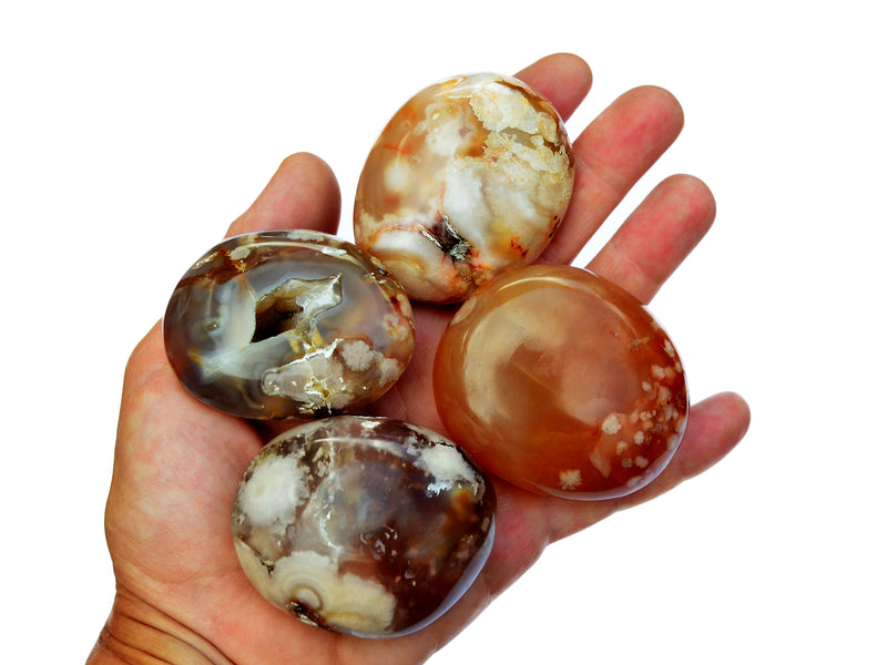 Four sakura agate palm stones on hand with white background