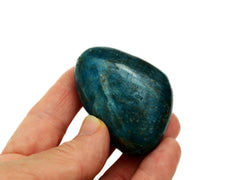 One large blue apatite tumbled stone on hand with white background
