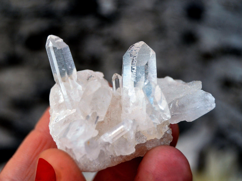 One small raw quartz crystal cluster on hand with gray background