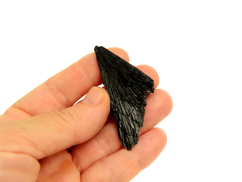 One raw black kyanite witch's broom 35mm on hand with white background