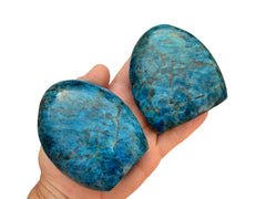 Two large blue apatite free form stones 90mm on hand wiht white background