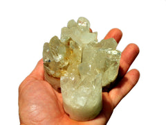 Four crystal quartz cluster cylinders 40mm-50mm on hand with white background