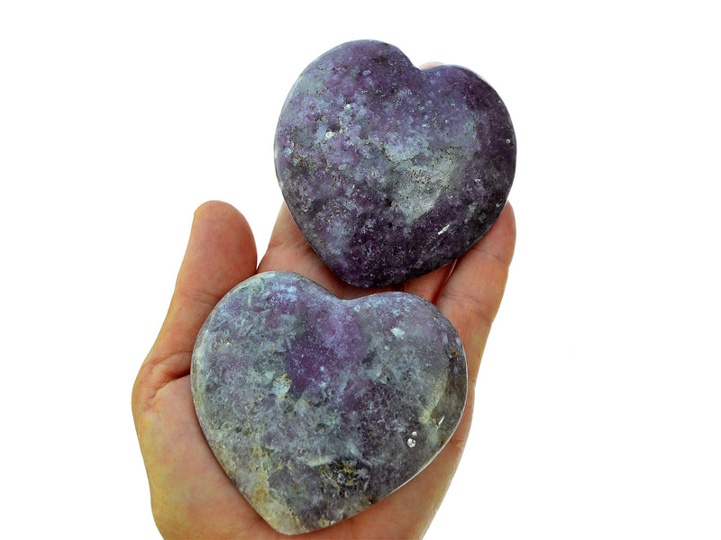Two purple lepidolite crystal hearts 65mm-75mm on hand with white background