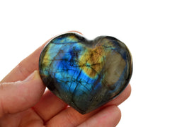 One blue labradorite heart stone 50mm on hand with white background