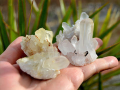 Three small raw crystal cluster on hand with background with green plants