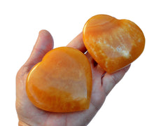 Two large orange calcite heart shapped crystals 70mm-75mm on hand with white background