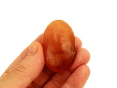 Autumn Crystal Kit
