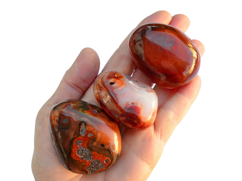 Three large carnelian tumbled minerals on hand with white background