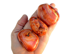 Three big carnelian tumbled crystals on hand with white background
