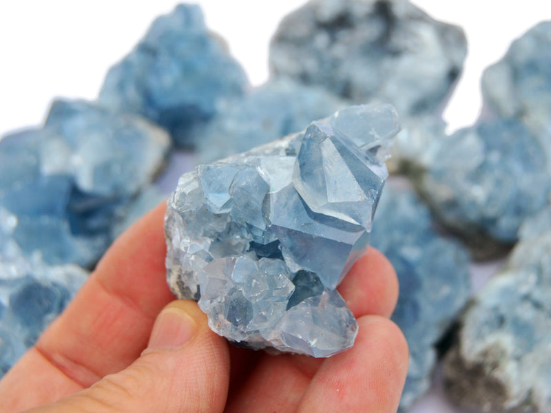 One small raw celestite cluster on hand with background with some crystals on white