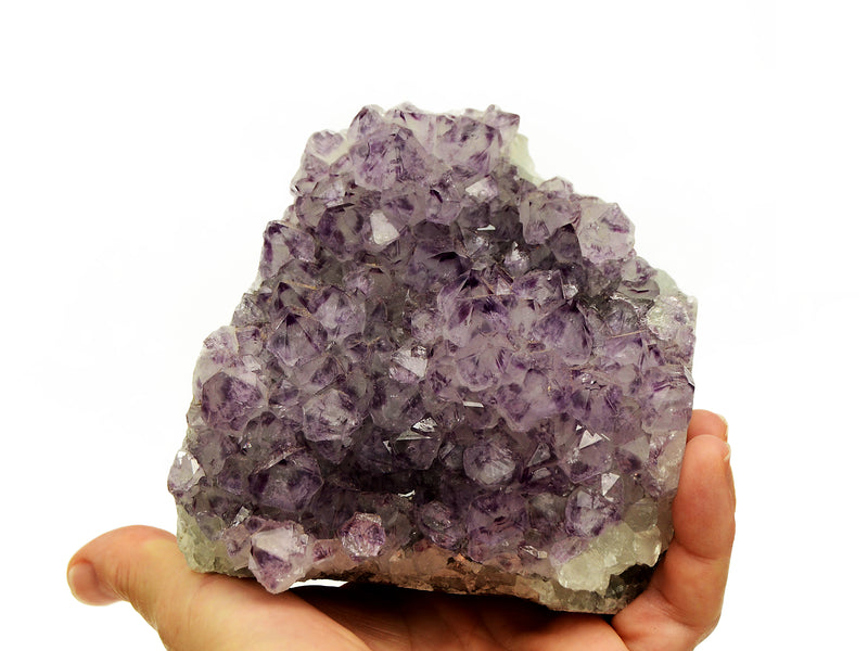 One purple druzy amethyst cut base 100mm on hand with white background