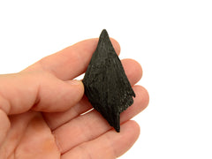 One raw black kyanite witch's broom 40mm on hand with white ackground