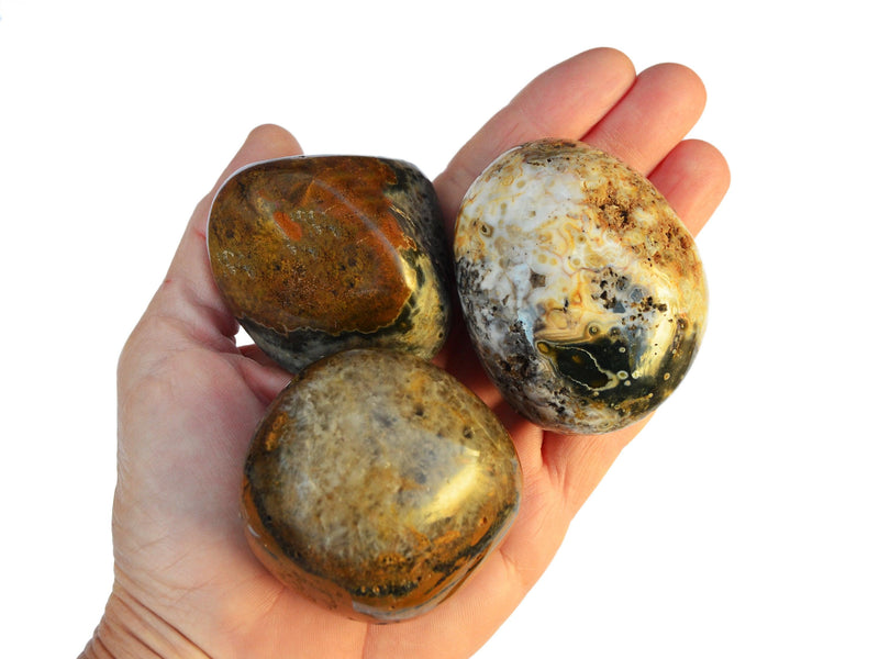 Three large sea jasper tumbled crystals on hand with white background
