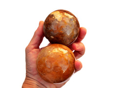 Two golden healer quartz sphere 70mm-75mm on hand with white background