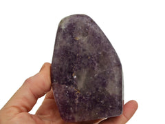 One large lepidolite free form 105mm on hand with white background