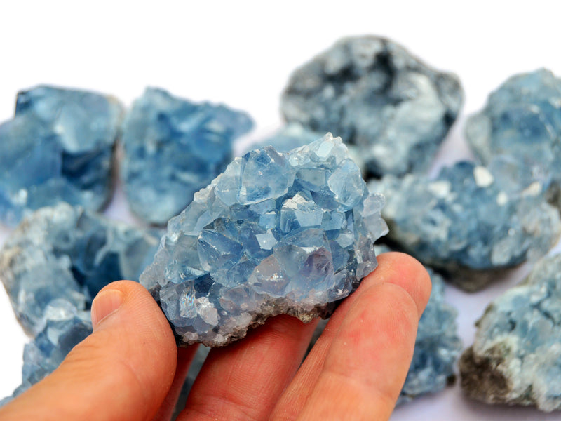 On mini celestite crystal cluster on hand with background with some crystals on white