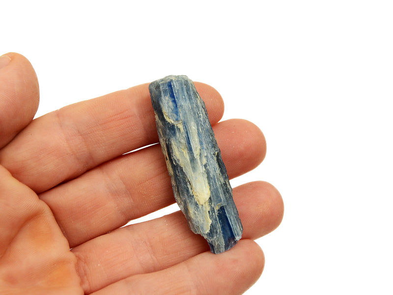 One raw blue kyanite 50mm on hand with white background