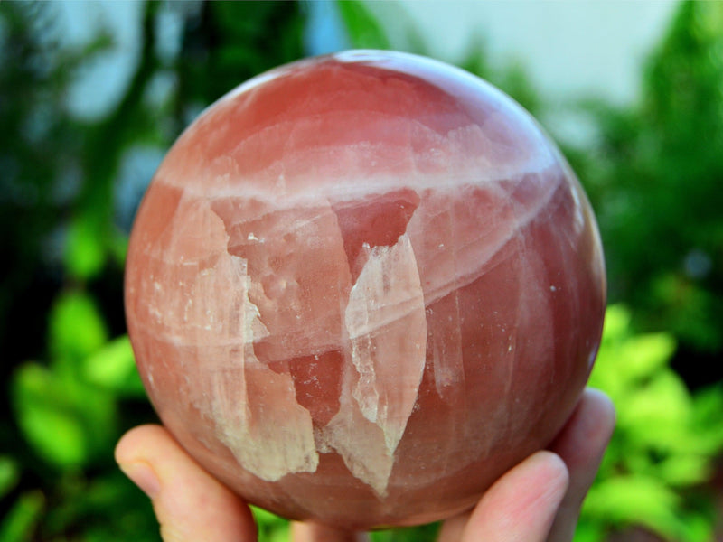 XL rose calcite sphere mineral 95mm on hand with background with green plants