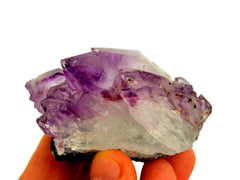 One amethyst crystal cluster 90mm on hand with white background
